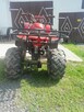 Quad basham - 6